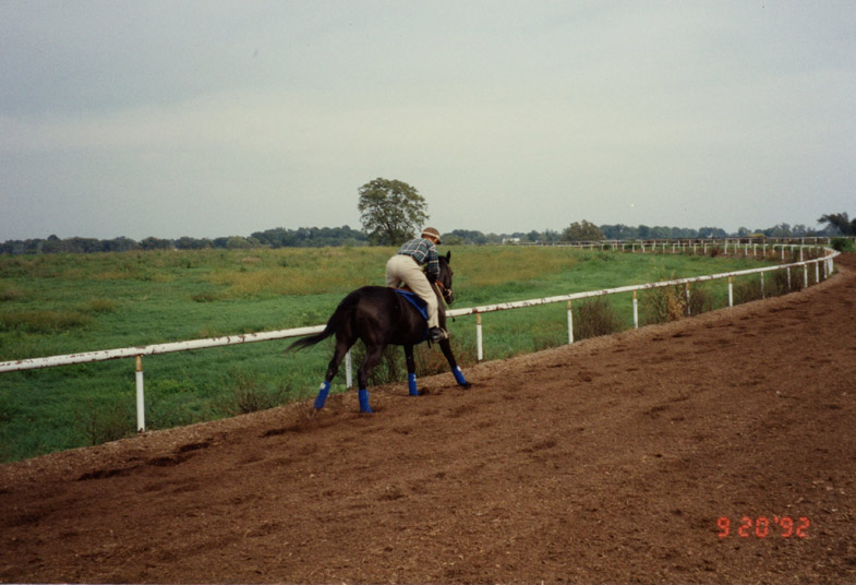 Series of photographs of Leslie Whitlock riding Lady George