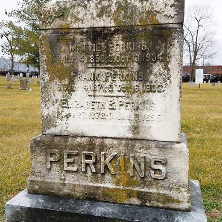 Photograph of James "Soup" Perkins' Family gravestone