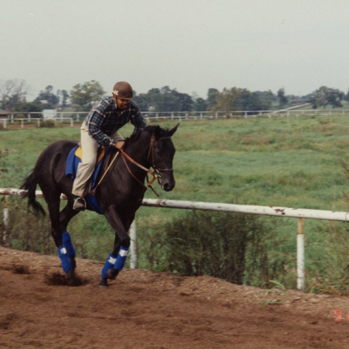 Series of photographs of Leslie Whitlock riding Lady George