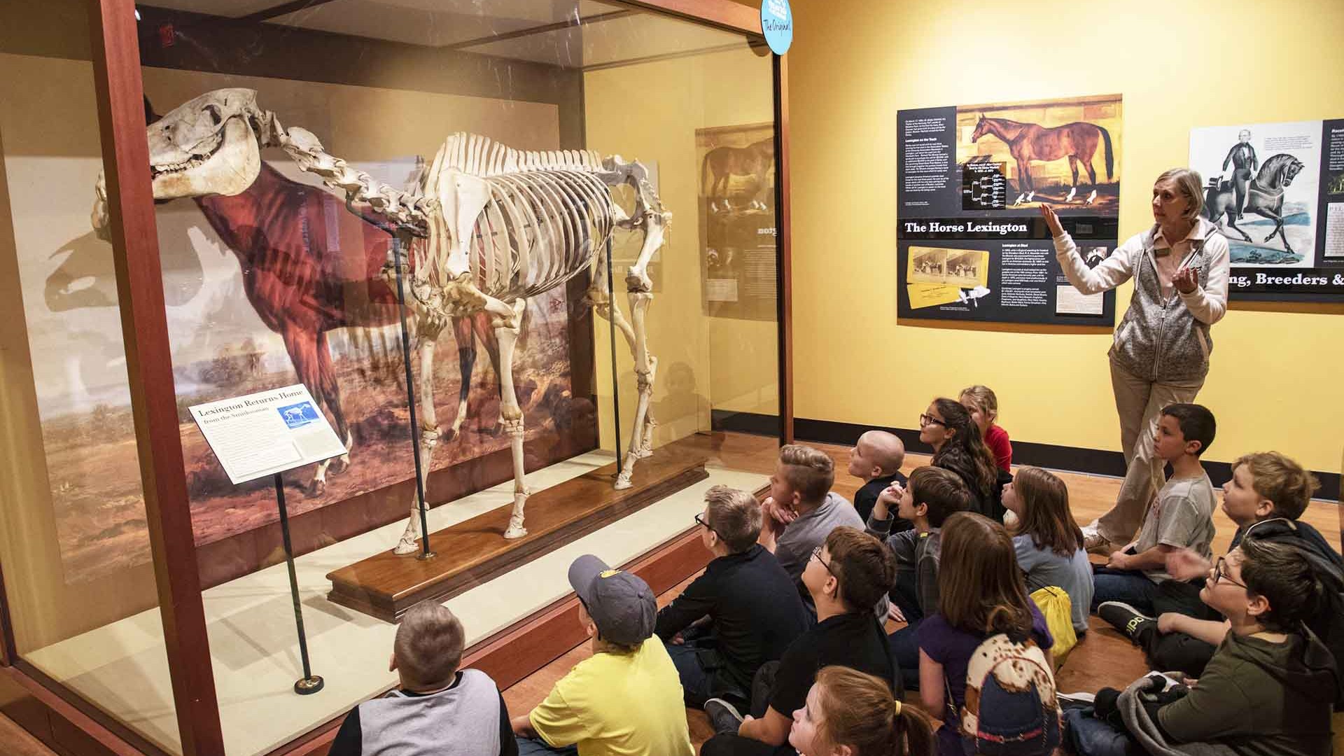 Group of children seated in front of horse skeleton