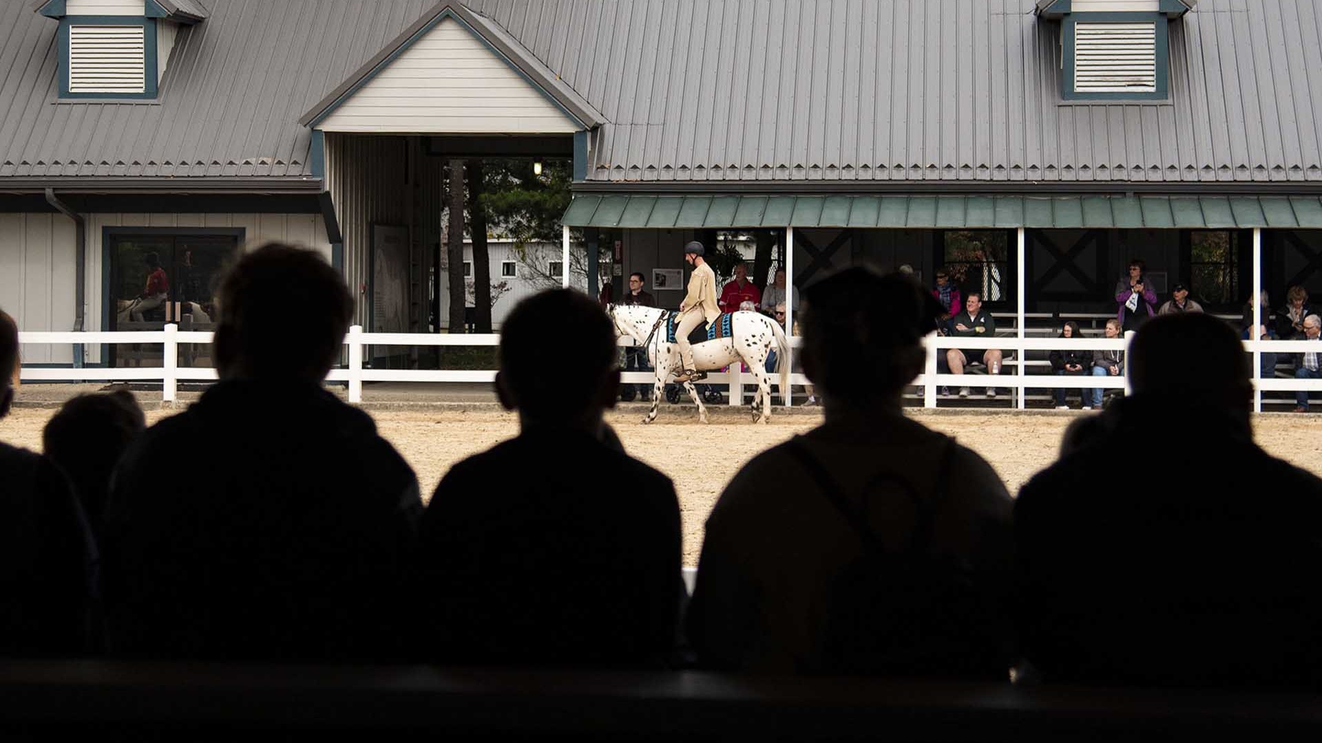silhouettes of students watching horse show